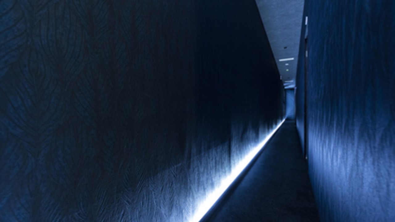 種や～朧～の事業内容の写真2枚目