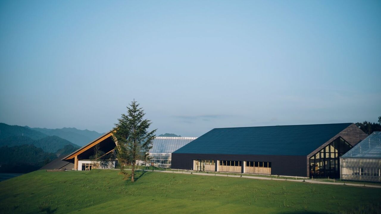 VISON（ヴィソン）の事業内容の写真2枚目