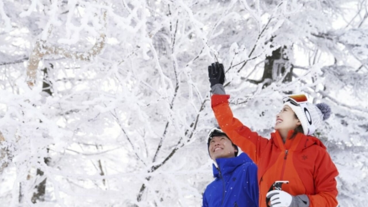 志賀高原プリンスホテルの事業内容の写真3枚目