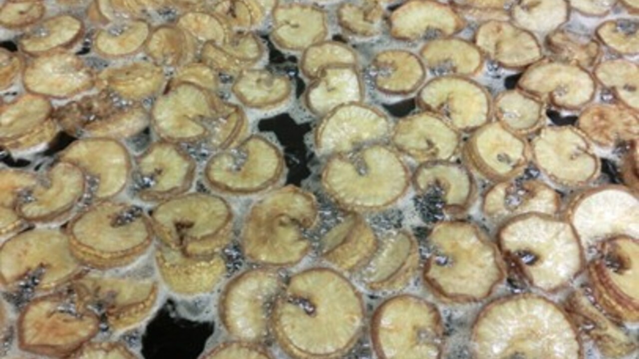 本社の事業内容の写真2枚目