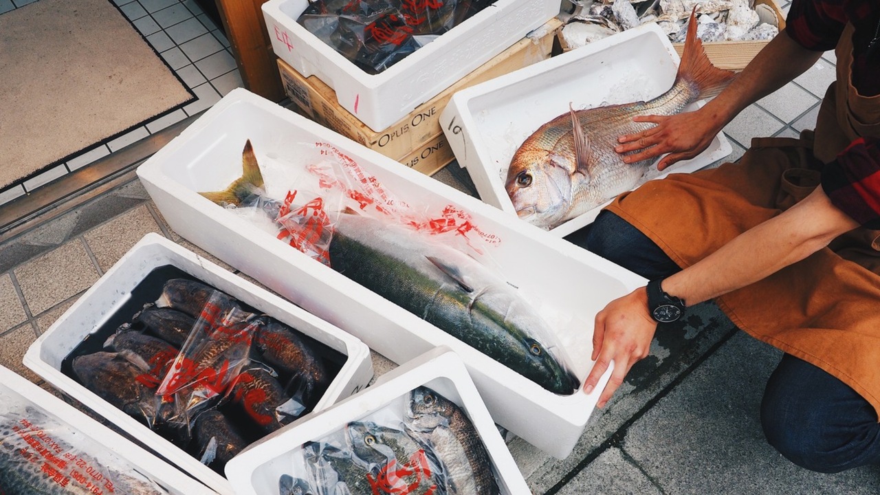 魚丸の事業内容の写真1枚目
