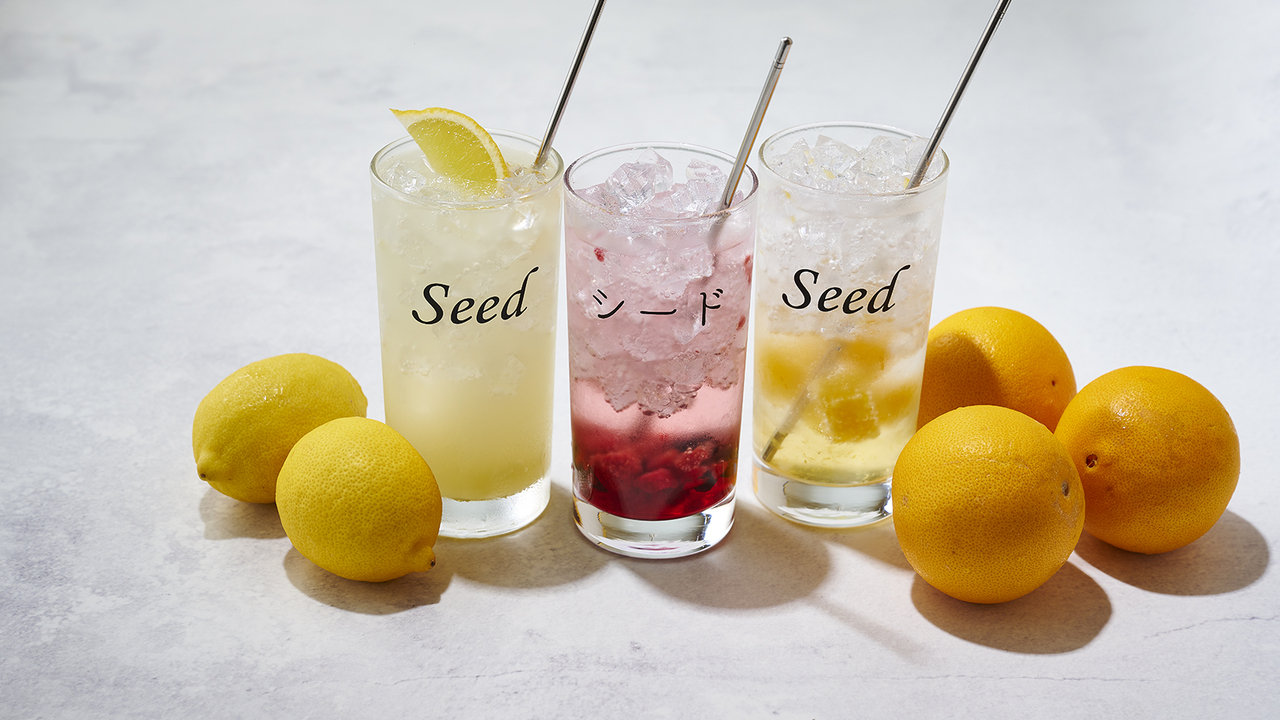 Seed -シード-の事業内容の写真4枚目