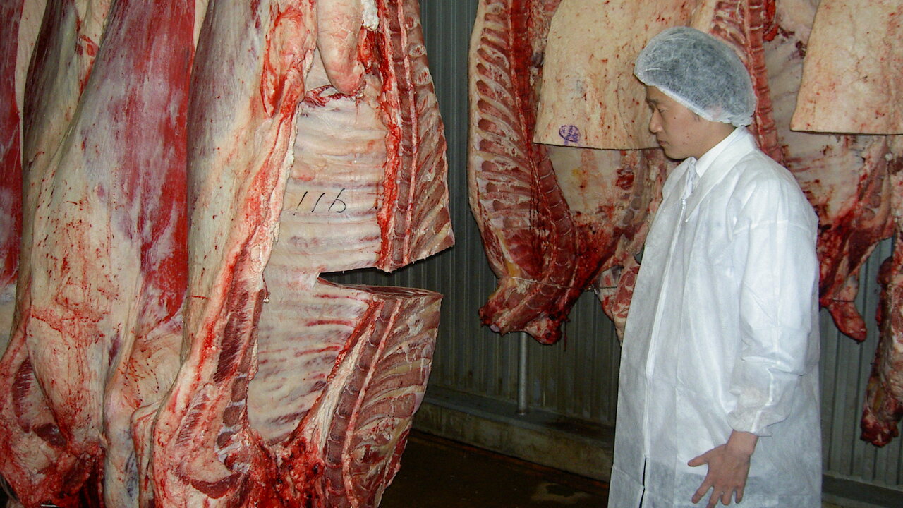 板前焼肉一笑の事業内容の写真2枚目