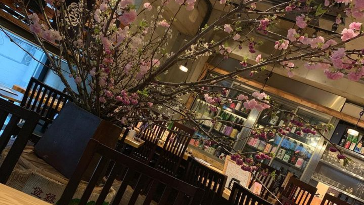 Sake Fun ぞっこん。の事業内容の写真1枚目