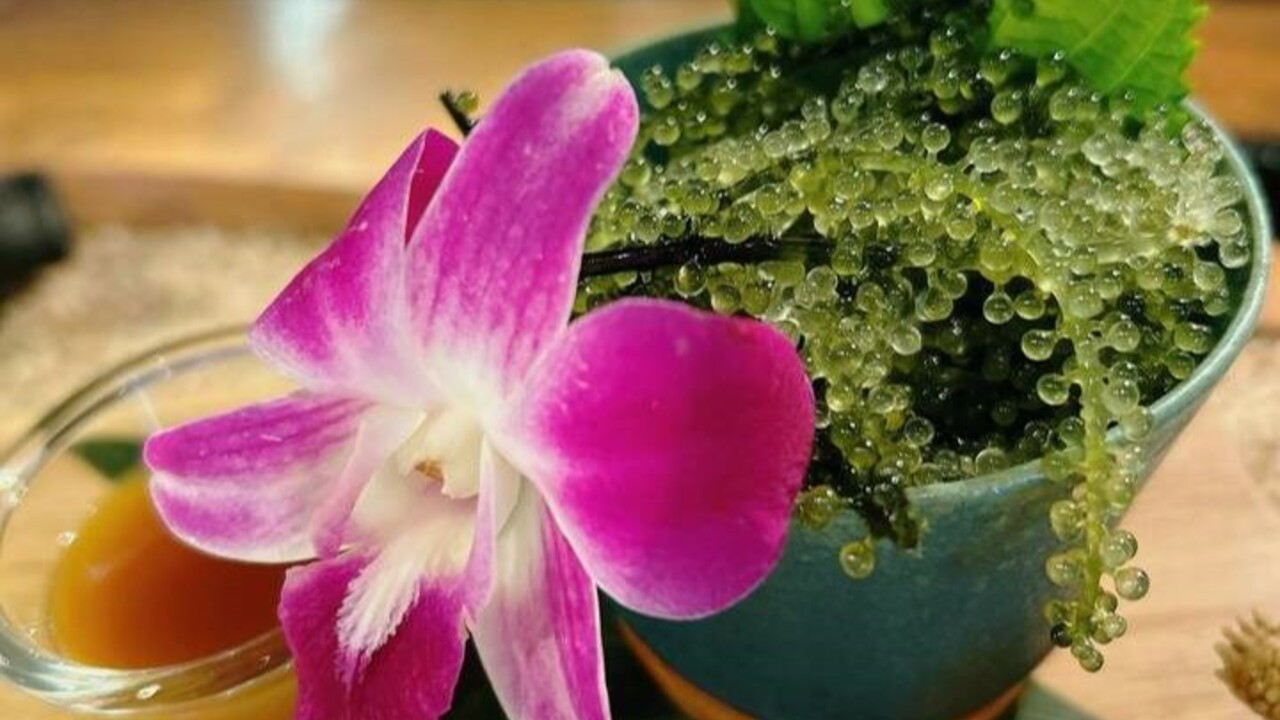 がじゅまる酒場 ばっちこいの事業内容の写真3枚目