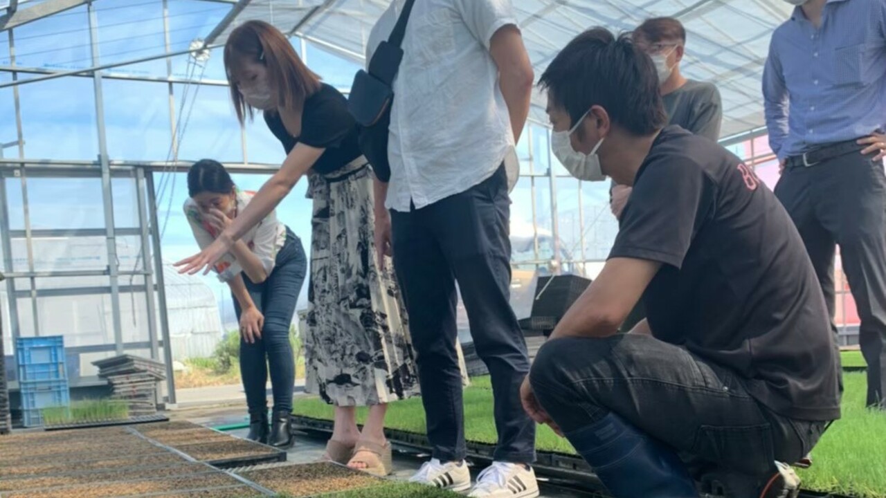 未来の新店で働く人の写真1枚目