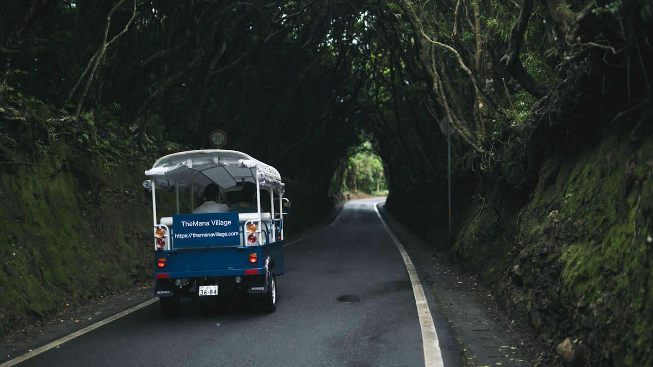 TheMana Villageのこだわりポイントの写真2枚目