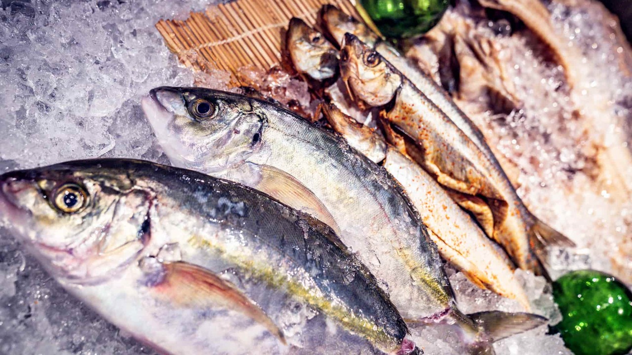 お勝手串焼き　とりとんたんの事業内容の写真2枚目