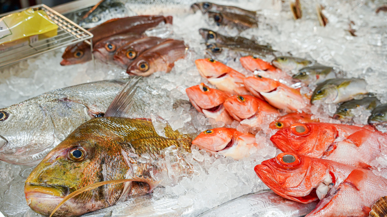 アカマル屋鮮魚店の事業内容の写真2枚目