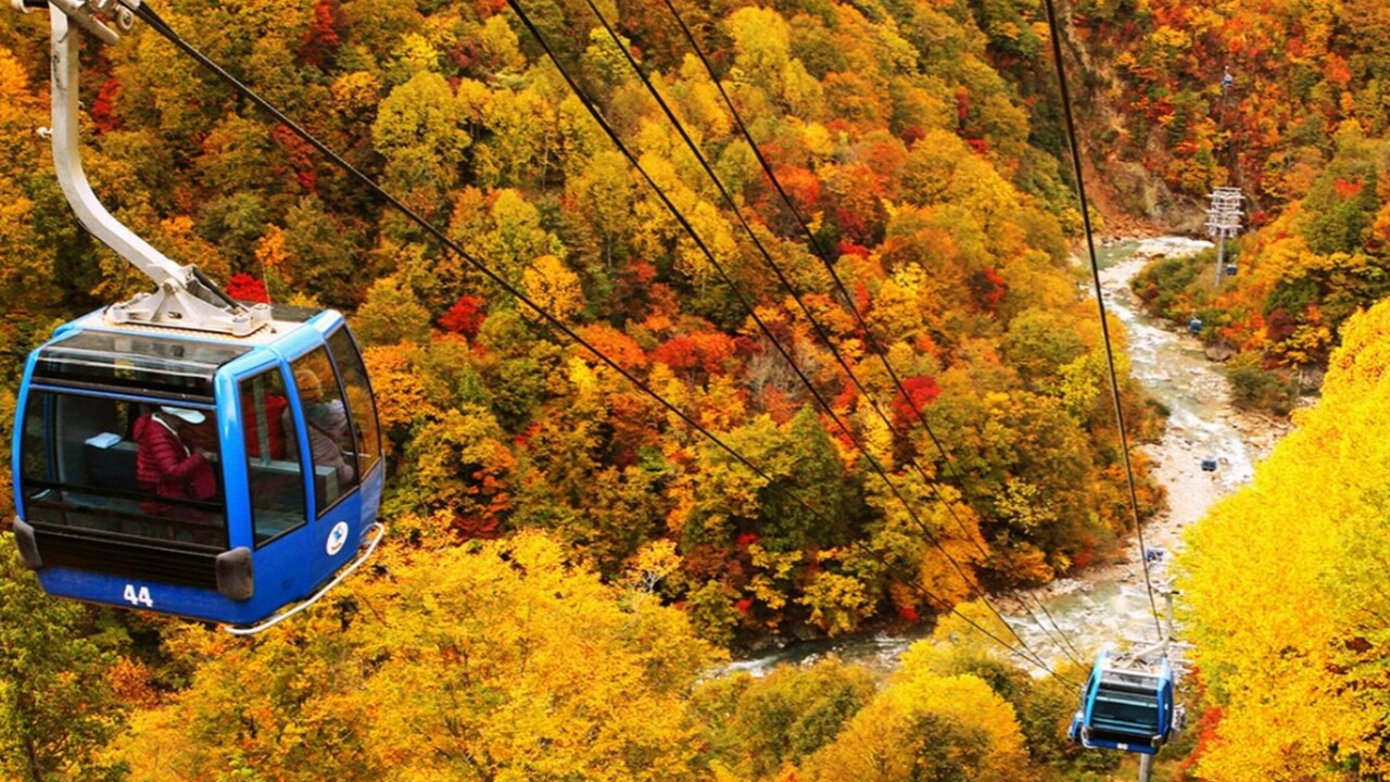 苗場プリンスホテルの事業内容の写真3枚目