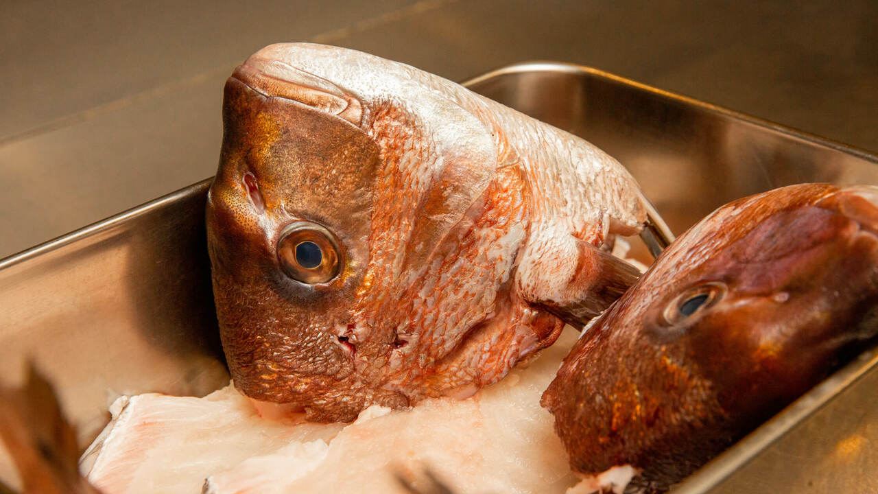 SOBA HOUSE 金色不如帰の事業内容の写真2枚目