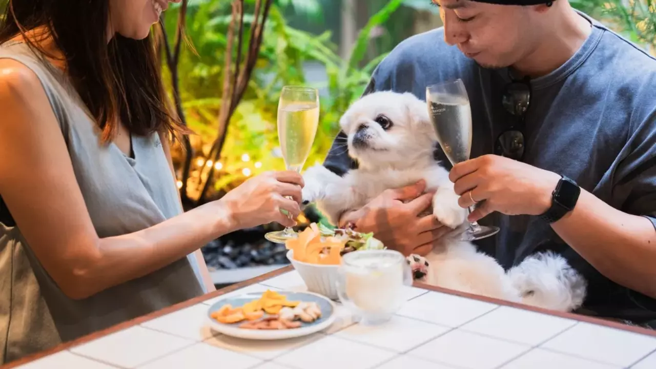 MID　TREEの事業内容の写真3枚目