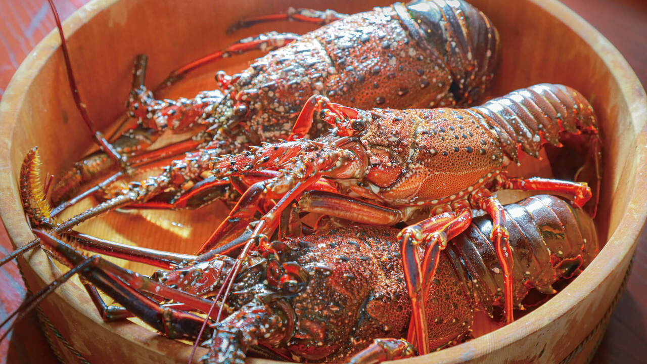 THE MAGARIGAWA CLUBのこだわりポイントの写真3枚目