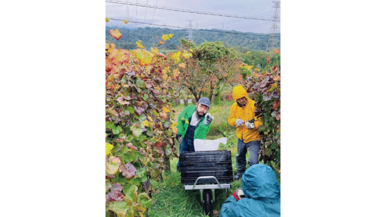 PEZのこだわりポイントの写真2枚目