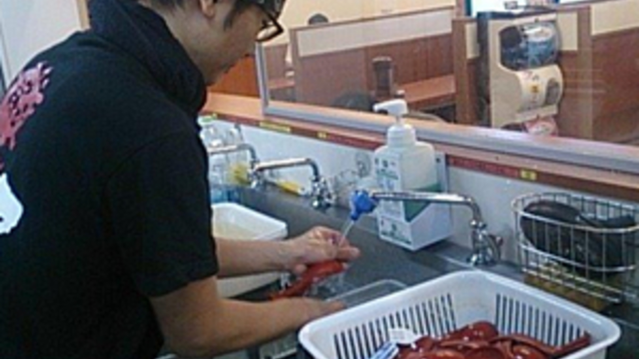 ラーメン まこと屋で働く人の写真3枚目