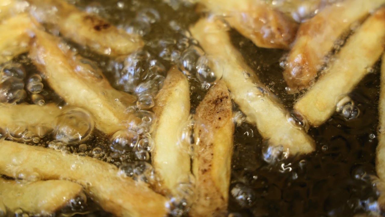 DE FRITES STAANの事業内容の写真2枚目