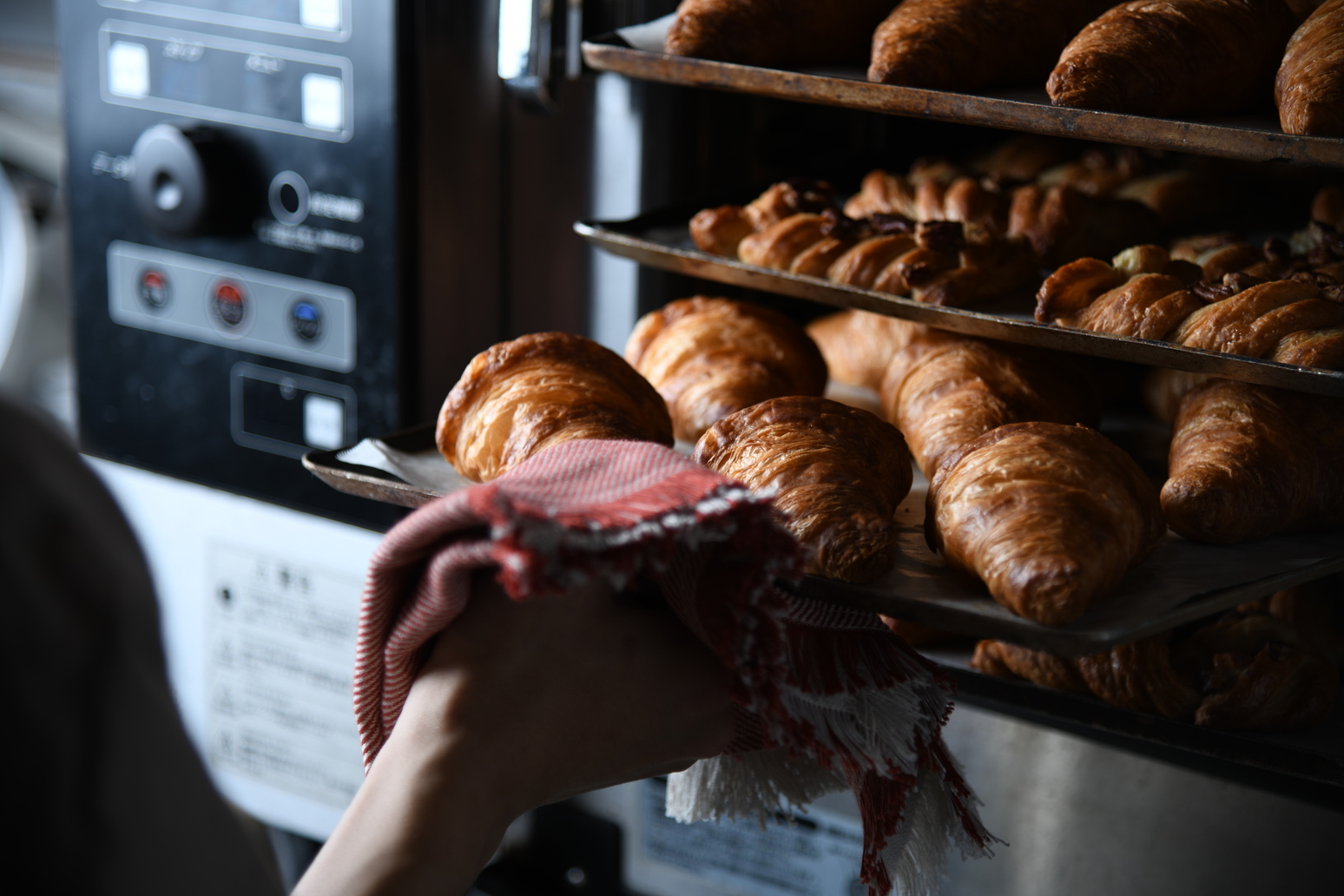 株式会社TAPETUM-CONGALY 2枚目