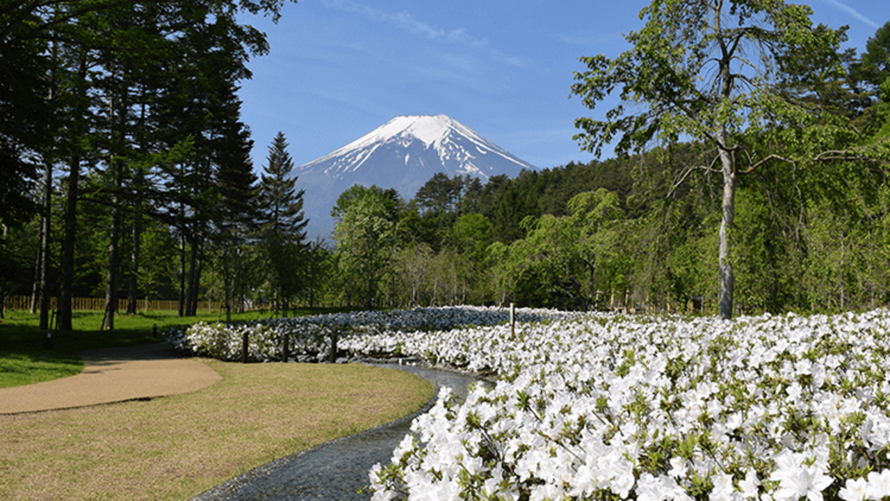 忍野しのびの里のこだわりポイントの写真3枚目