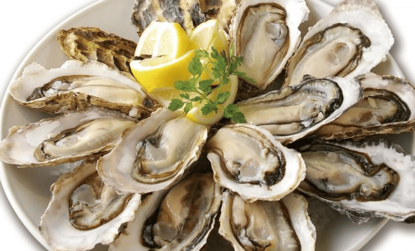 株式会社asoviva-牡蠣と和牛の奴隷 1枚目