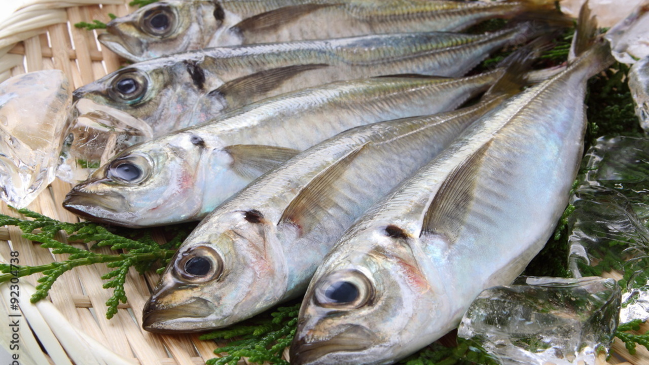 新業態（未定）で働く人の写真3枚目