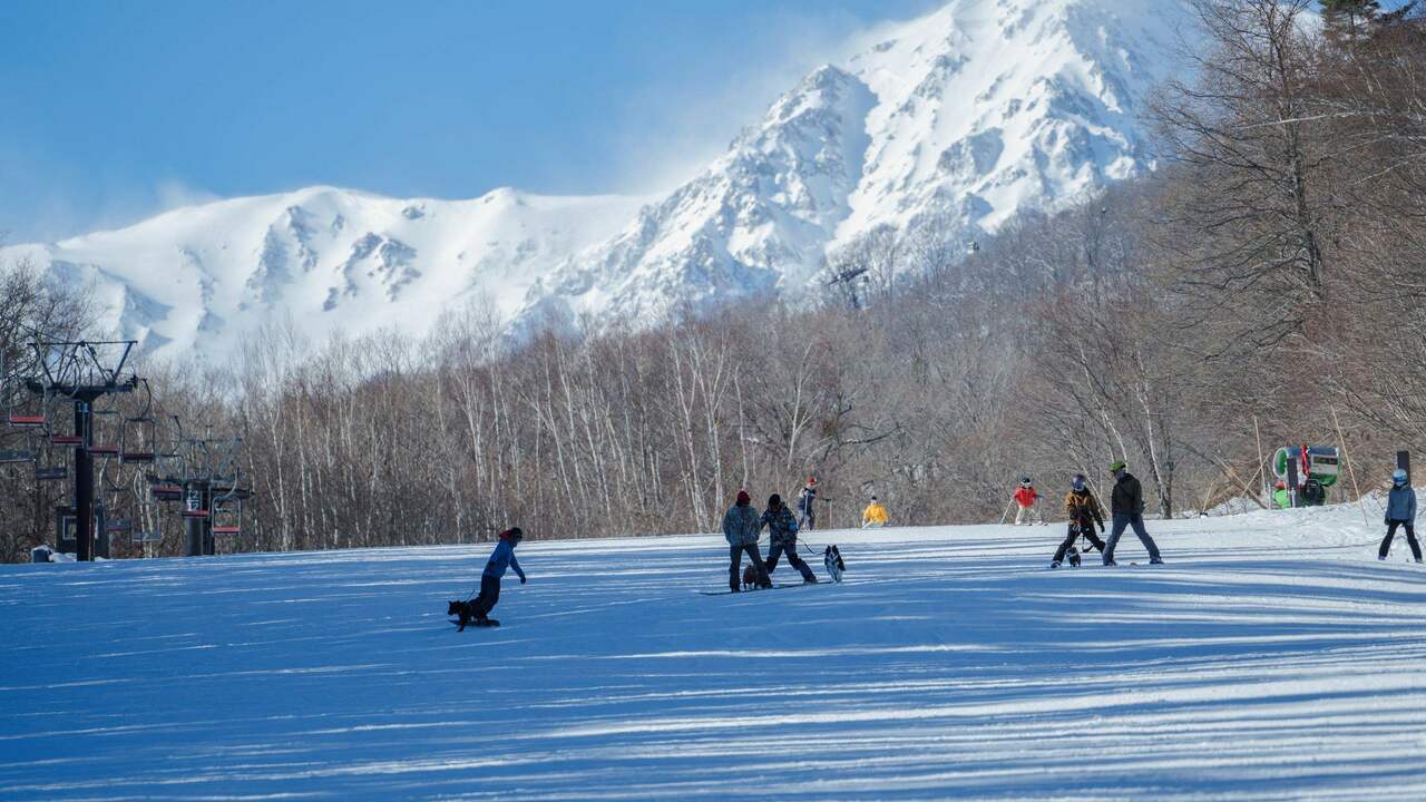 株式会社ズクトチエ_自社運営施設の事業内容の写真2枚目