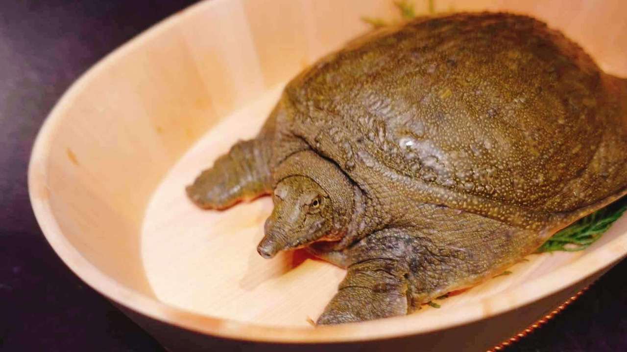 焼肉神石のこだわりポイントの写真3枚目