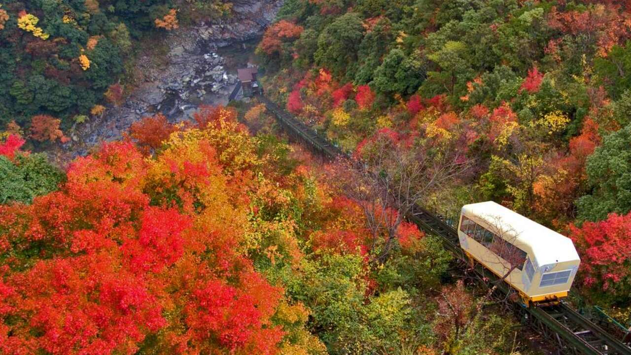 和の宿 ホテル祖谷温泉の事業内容の写真1枚目