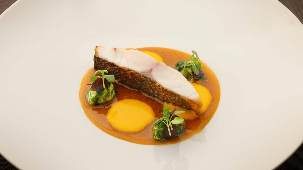 Saucer（ソーセ）の事業内容の写真2枚目