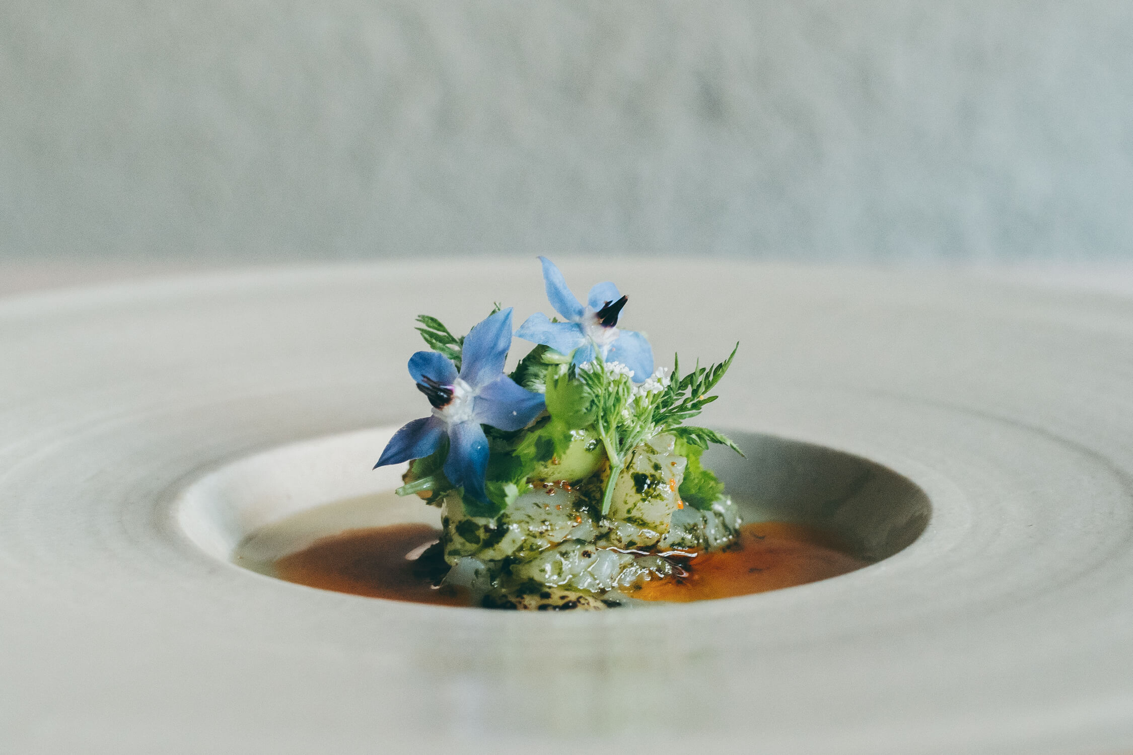 株式会社narrative operation-VILLA COMMUNICO 1枚目