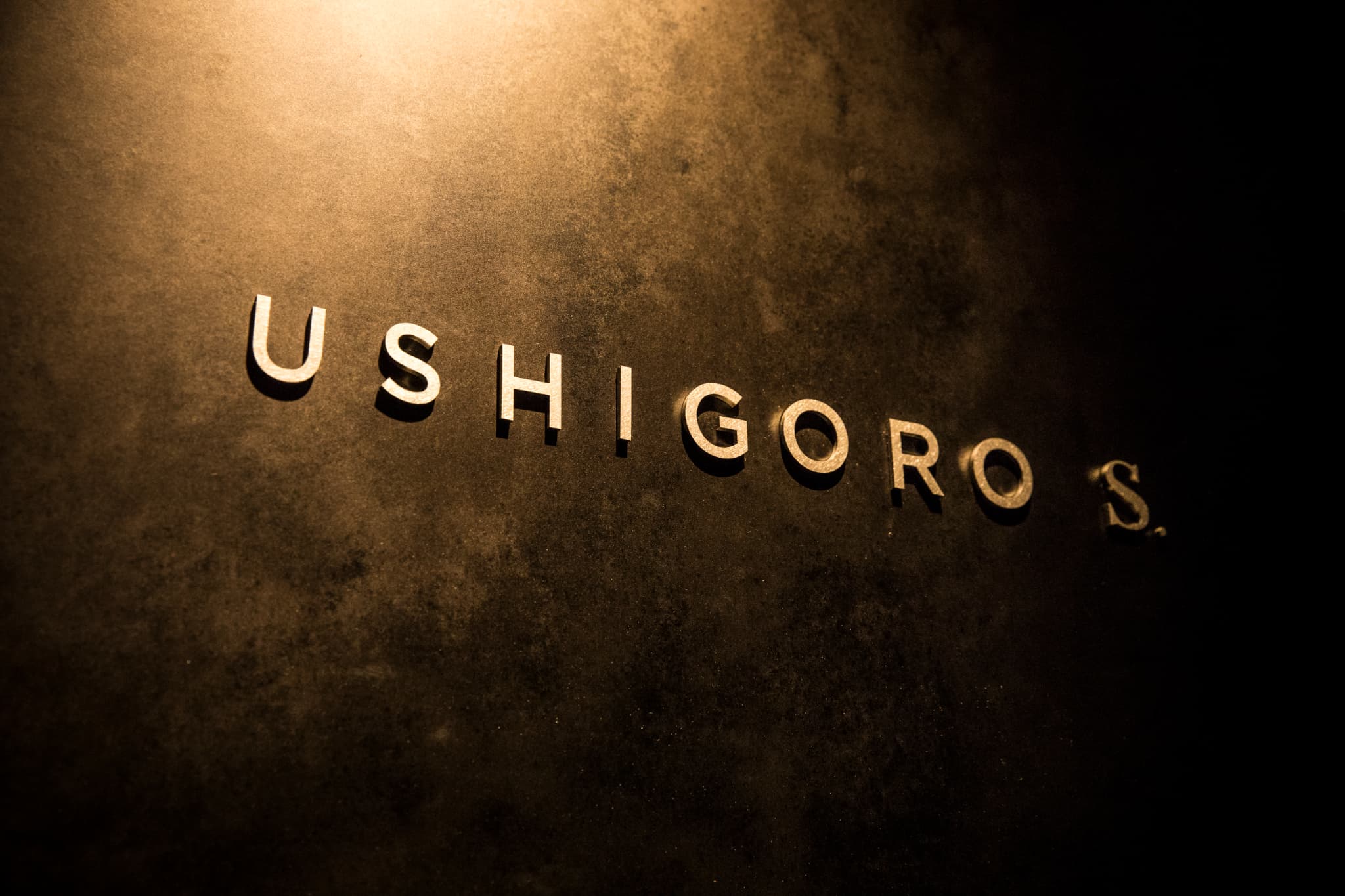 株式会社サング-USHIGORO S.  1枚目