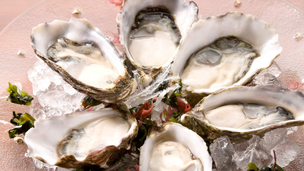 銀座KAZANの事業内容の写真1枚目