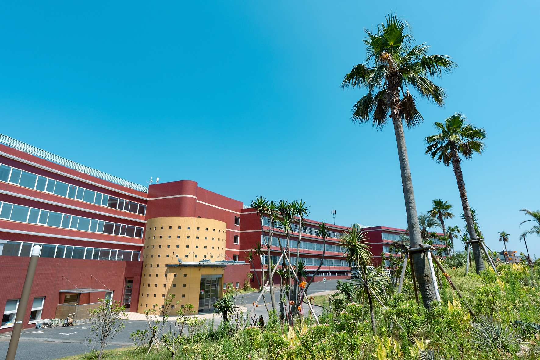 株式会社ティーケーピー-レクトーレ 3枚目