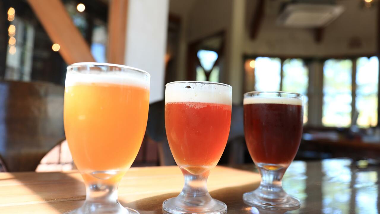 BondBrewbeercraftの事業内容の写真2枚目