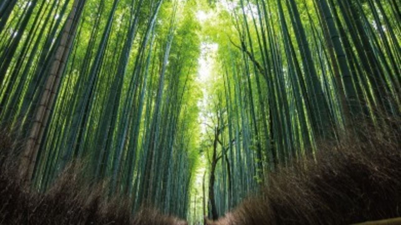 翠嵐 ラグジュアリーコレクションホテル 京都の事業内容の写真4枚目