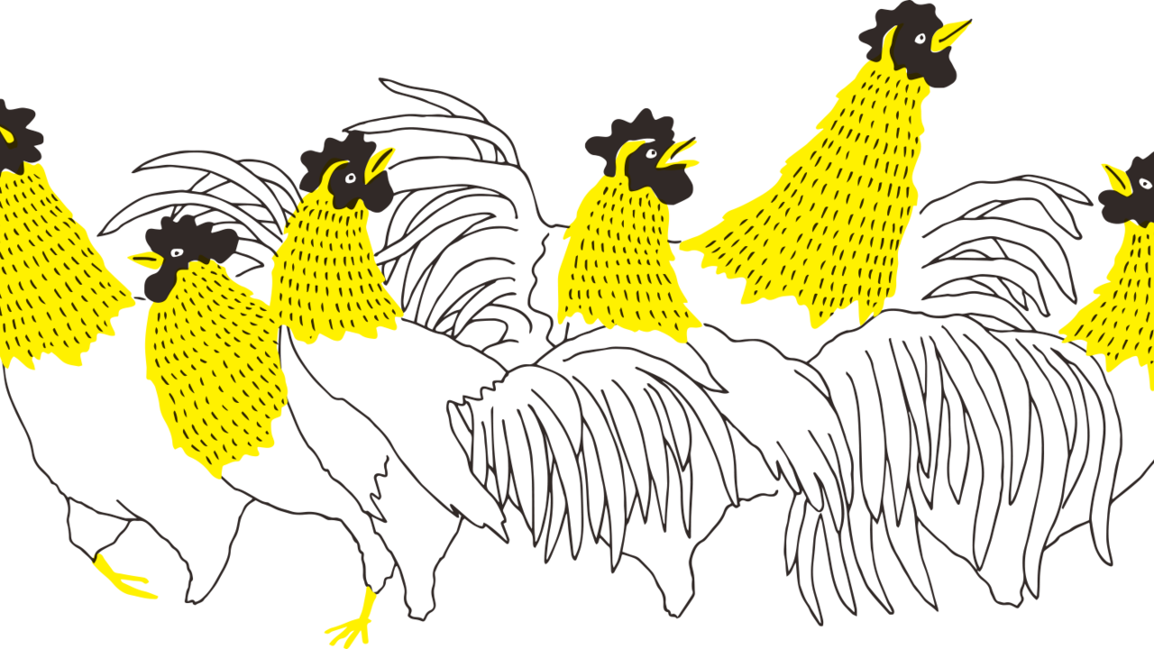 哥利歐の事業内容の写真3枚目