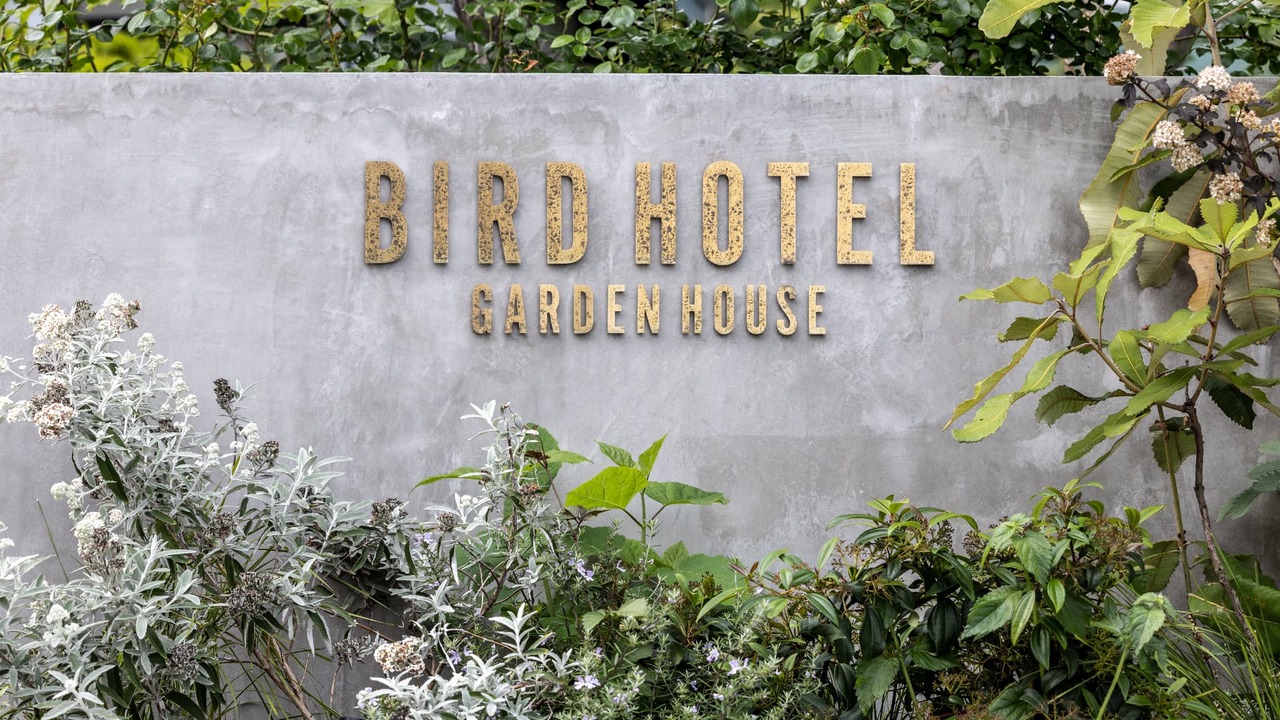BIRD HOTELで働く人の写真1枚目