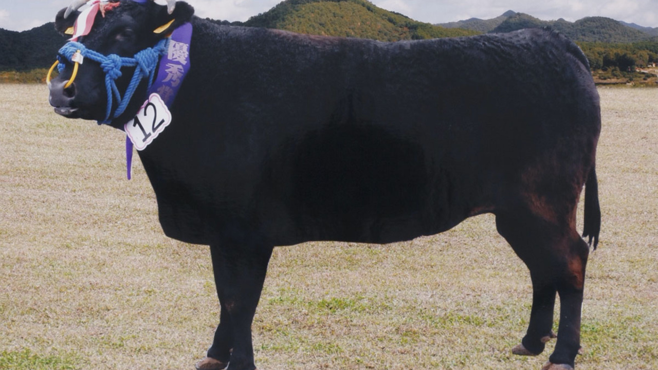 美方のこだわりポイントの写真1枚目