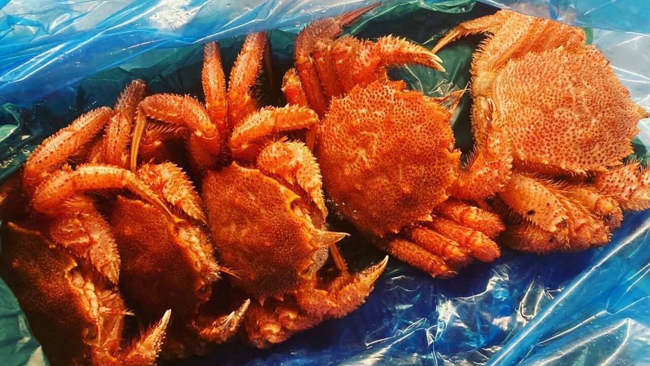 そな田の事業内容の写真1枚目