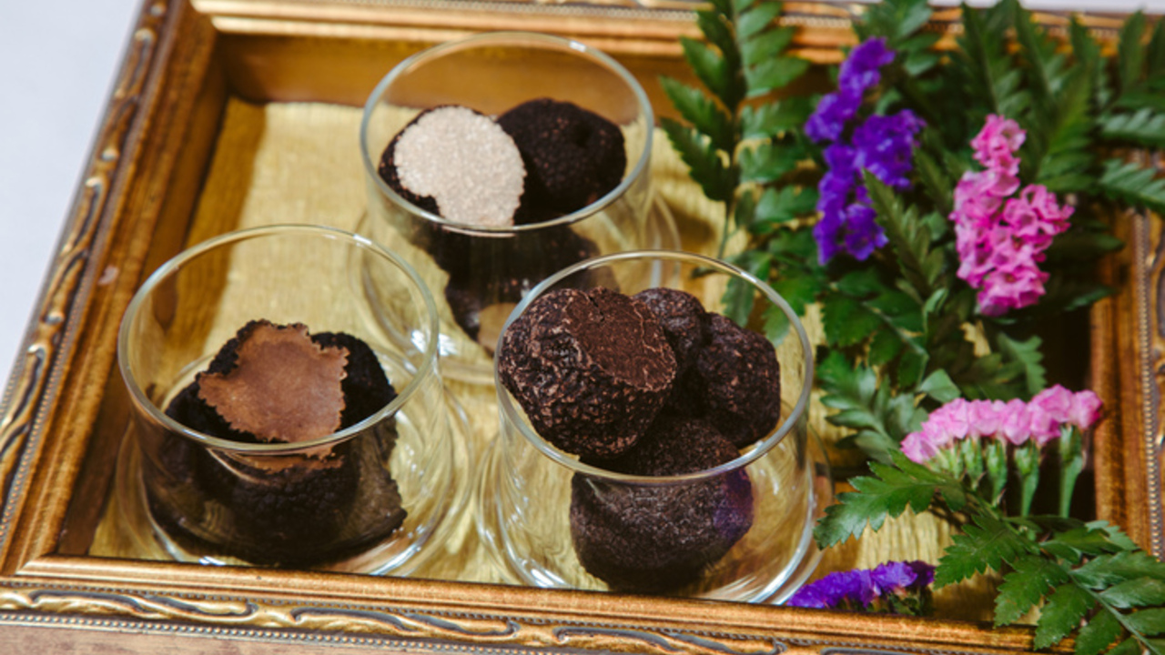 テール・ド・トリュフ 東京の事業内容の写真1枚目