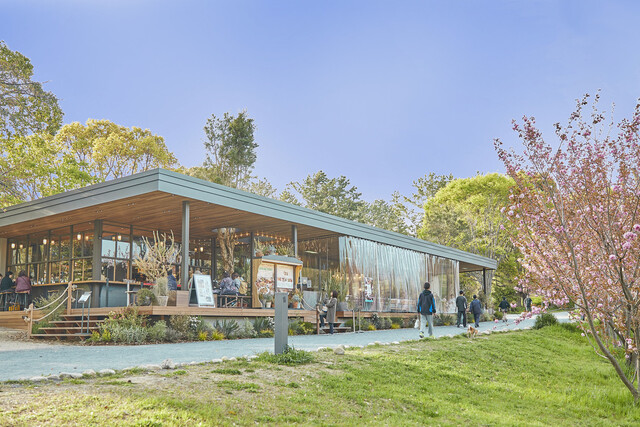 株式会社オペレーションファクトリー-バードツリー 1枚目