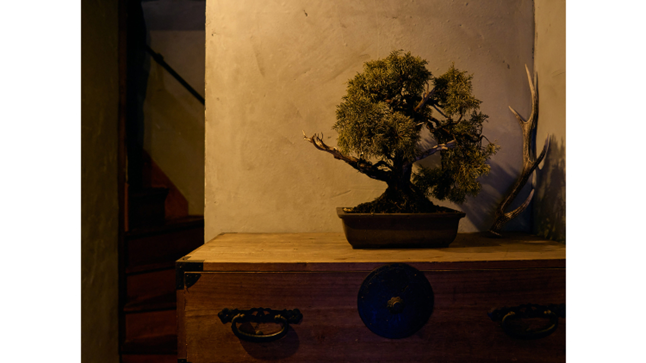 囲炉裏酒場MAGI/one.1の事業内容の写真2枚目