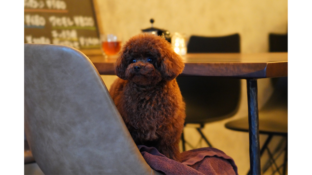 Arl Eeeの事業内容の写真2枚目