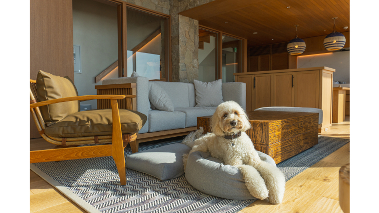 UMITO 鎌倉 材木座の事業内容の写真4枚目