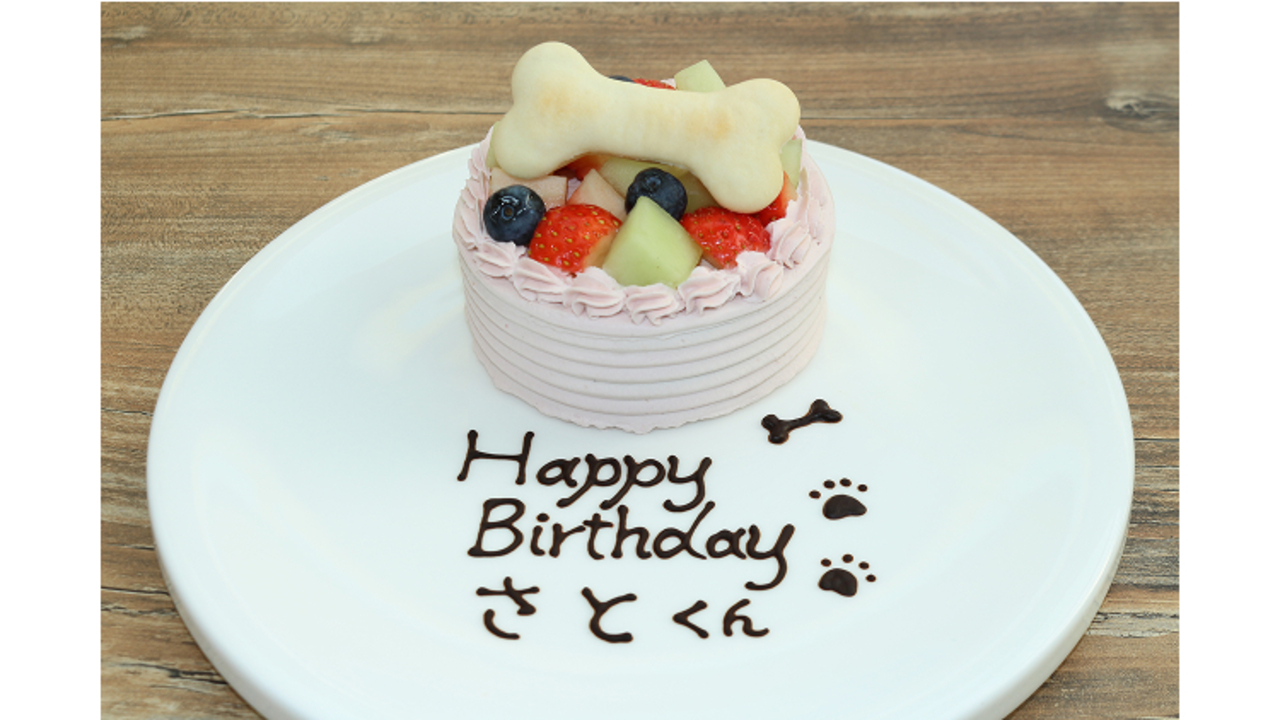 株式会社ユニマットドギーズアイランドのこだわりポイントの写真3枚目