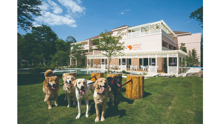 株式会社ユニマットドギーズアイランド-株式会社ユニマットドギーズアイランド 1枚目