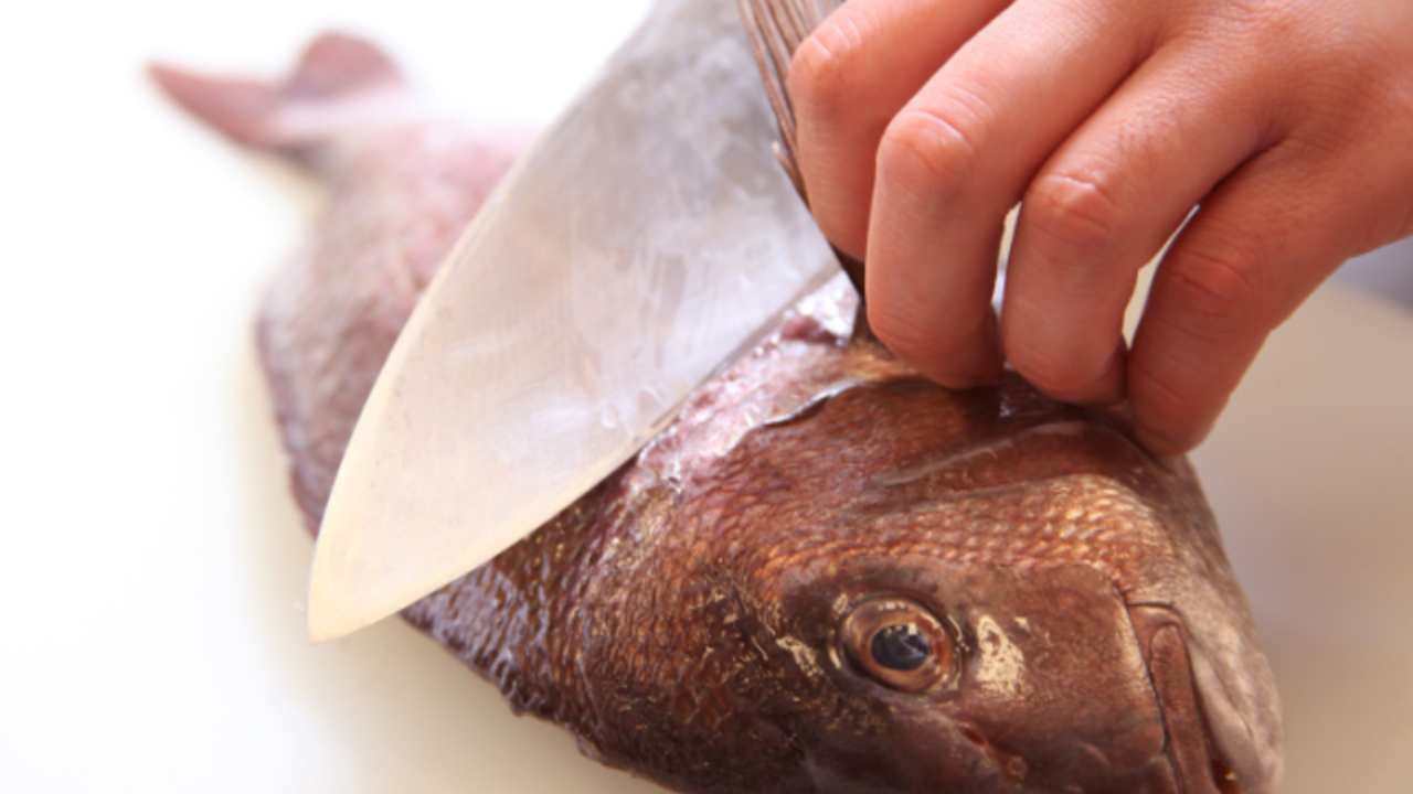 グルメ回転寿司函太郎のこだわりポイントの写真2枚目