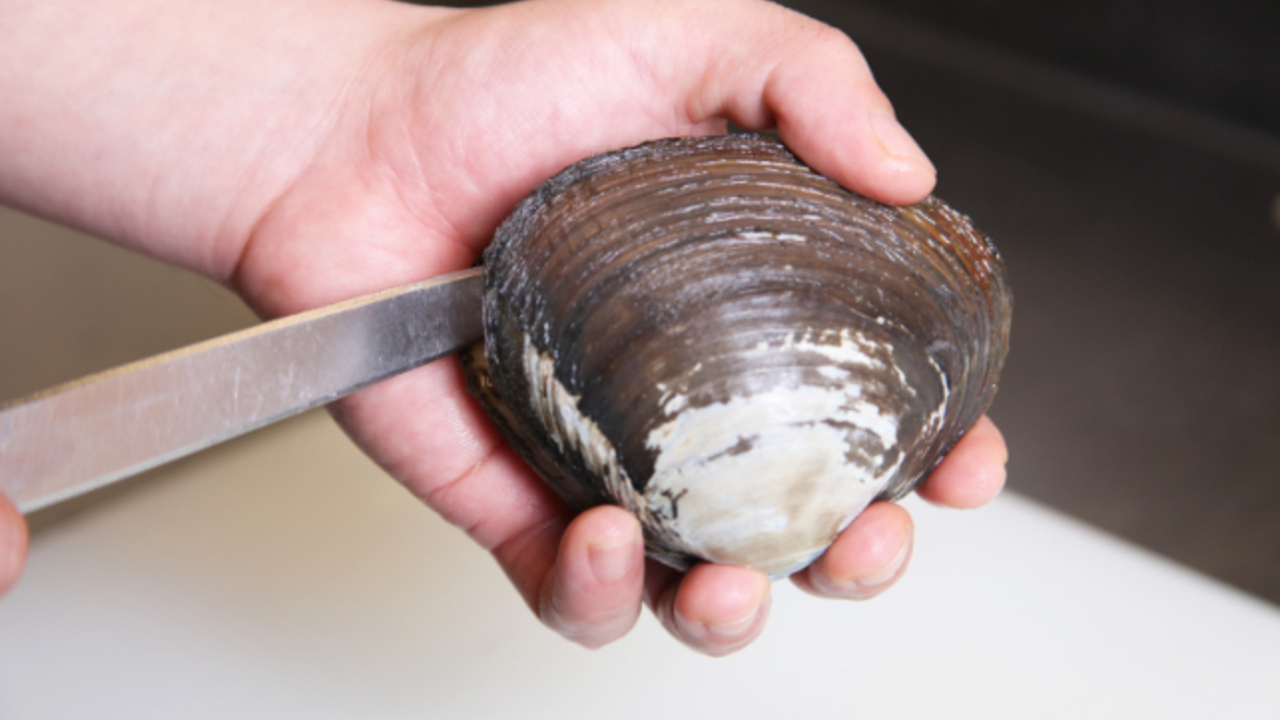 グルメ回転寿司函太郎のこだわりポイントの写真3枚目