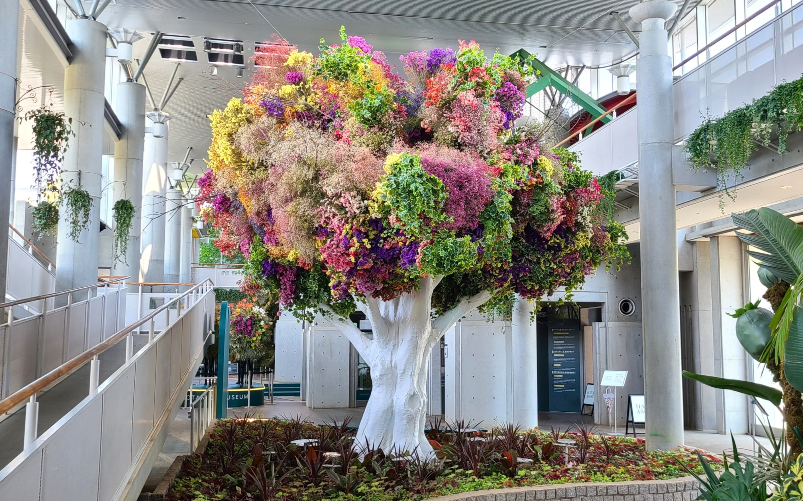 株式会社ワールドパーク-BOTANICA MUSEUM 2枚目