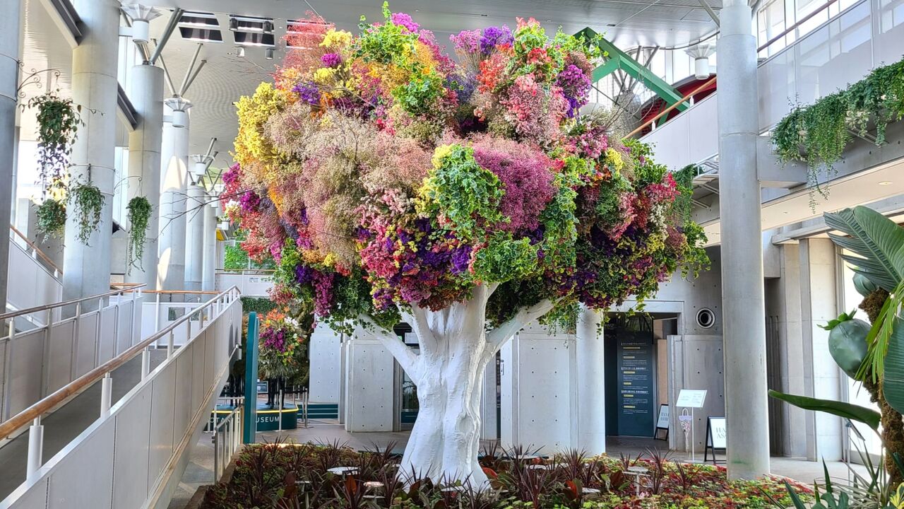 BOTANICA MUSEUMの事業内容の写真1枚目