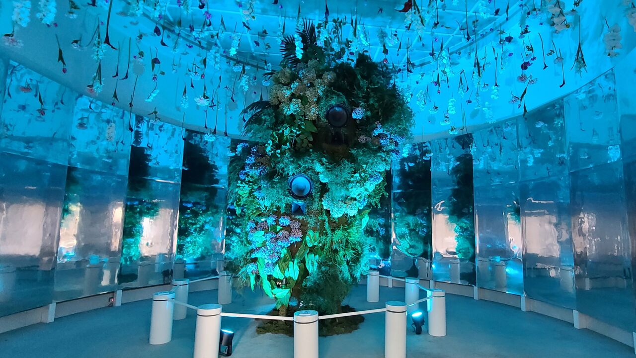 BOTANICA MUSEUMの事業内容の写真2枚目